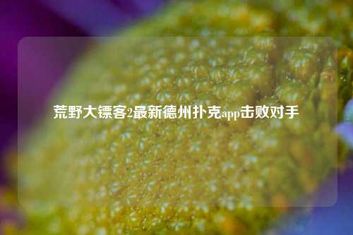 荒野大镖客2最新德州扑克app击败对手