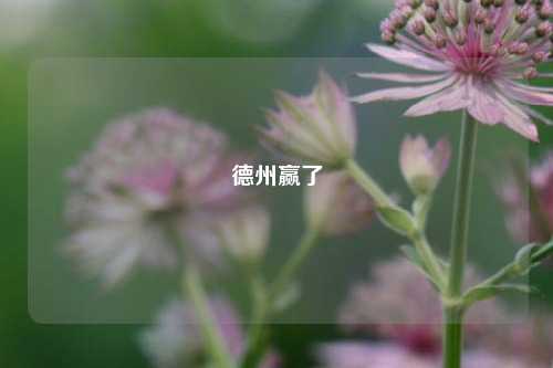 德州赢了