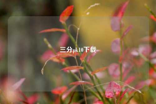 三分pk10下载