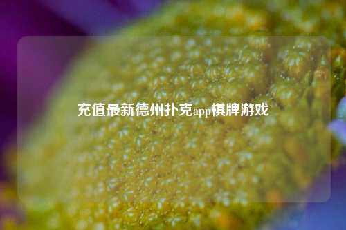 充值最新德州扑克app棋牌游戏