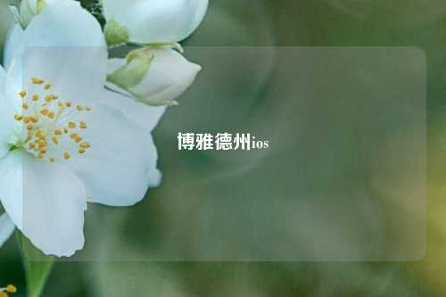 博雅德州ios