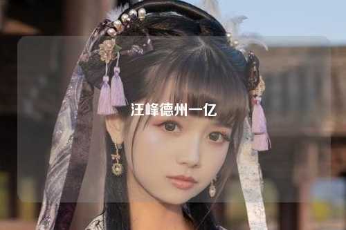 汪峰德州一亿