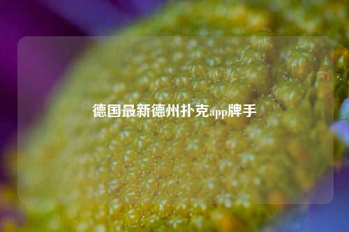 德国最新德州扑克app牌手