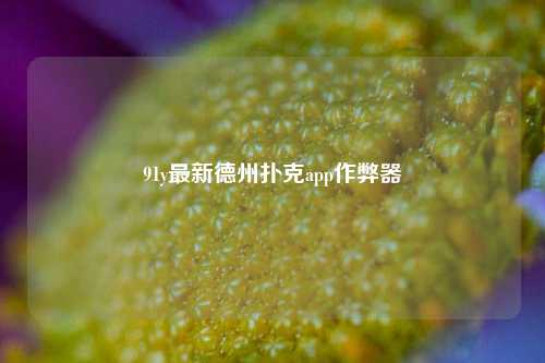 91y最新德州扑克app作弊器