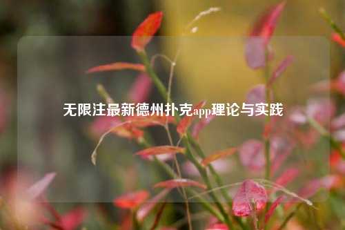 无限注最新德州扑克app理论与实践
