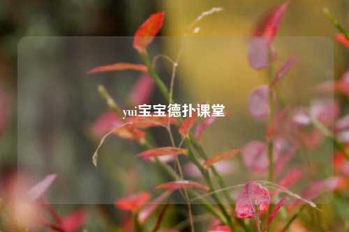 yui宝宝德扑课堂