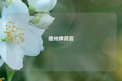 德州牌荷官