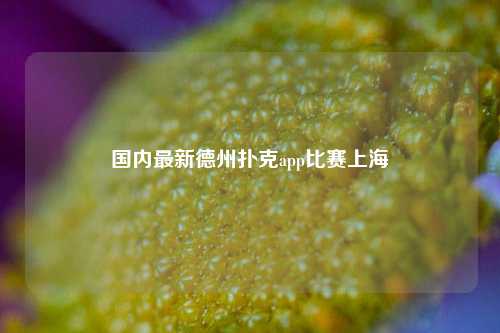 国内最新德州扑克app比赛上海