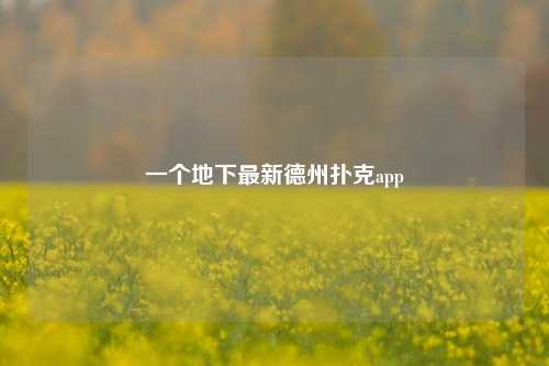 一个地下最新德州扑克app