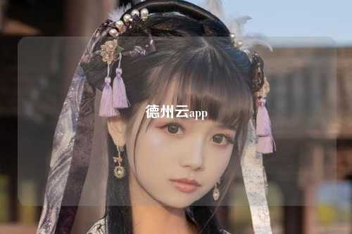 德州云app
