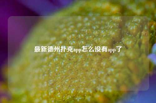 最新德州扑克app怎么没有app了