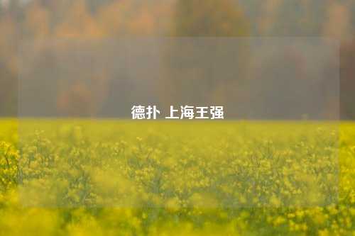 德扑 上海王强