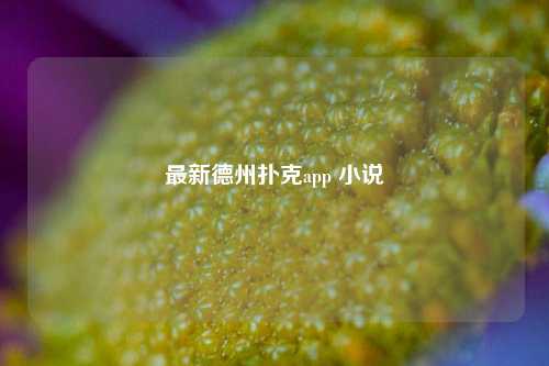 最新德州扑克app 小说