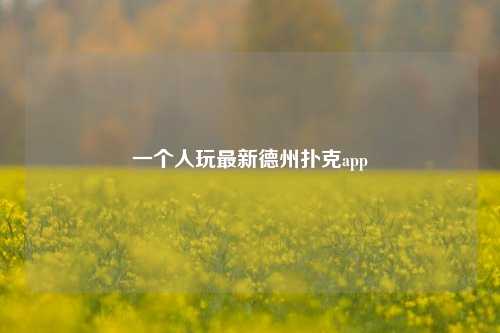 一个人玩最新德州扑克app
