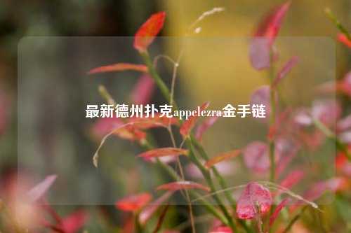 最新德州扑克appelezra金手链