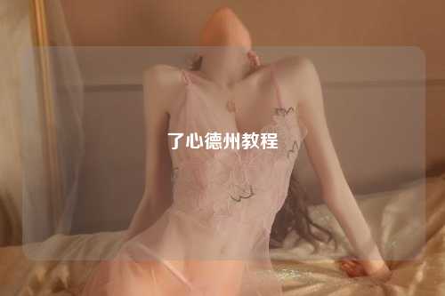 了心德州教程
