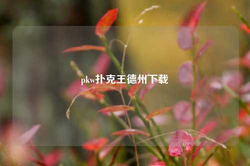 pkw扑克王德州下载