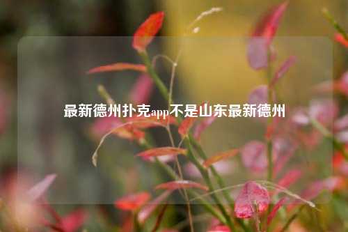 最新德州扑克app不是山东最新德州