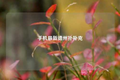 手机最新德州扑扑克