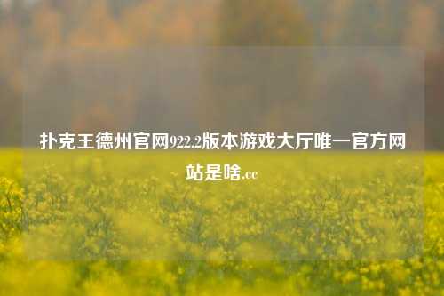 扑克王德州官网922.2版本游戏大厅唯一官方网站是啥.cc