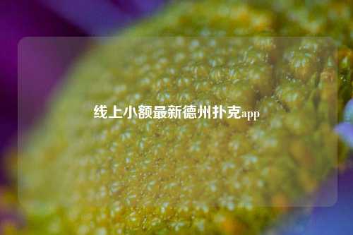 线上小额最新德州扑克app