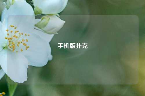 手机版扑克
