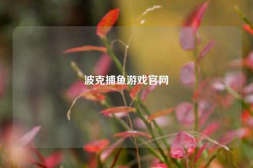 波克捕鱼游戏官网