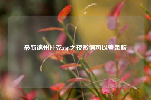最新德州扑克app之夜微信可以登录版
