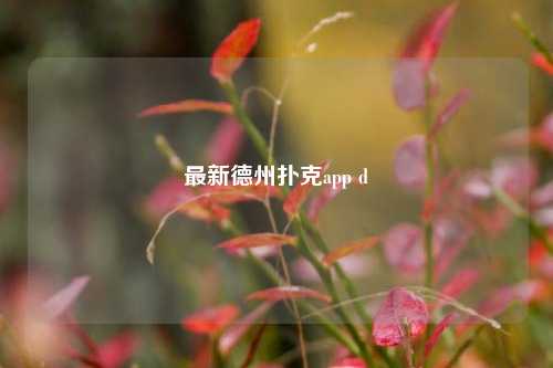 最新德州扑克app d