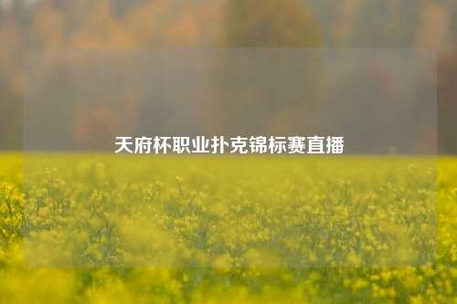 天府杯职业扑克锦标赛直播