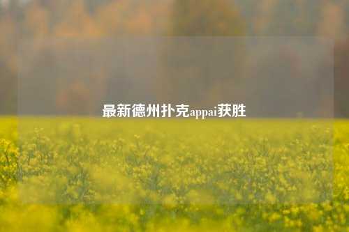 最新德州扑克appai获胜