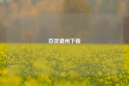 百灵德州下载