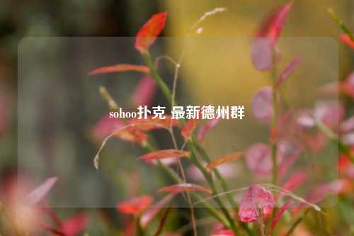sohoo扑克 最新德州群