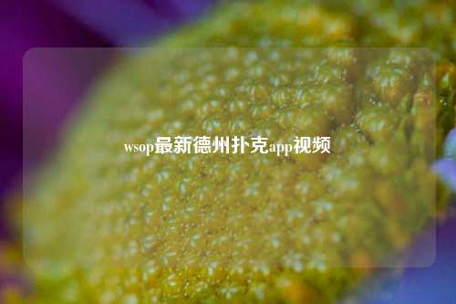 wsop最新德州扑克app视频