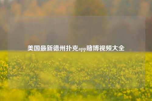美国最新德州扑克app赌博视频大全