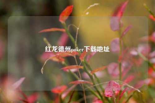红龙德州poker下载地址