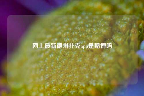 网上最新德州扑克app是赌博吗