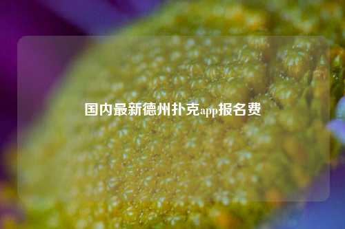 国内最新德州扑克app报名费